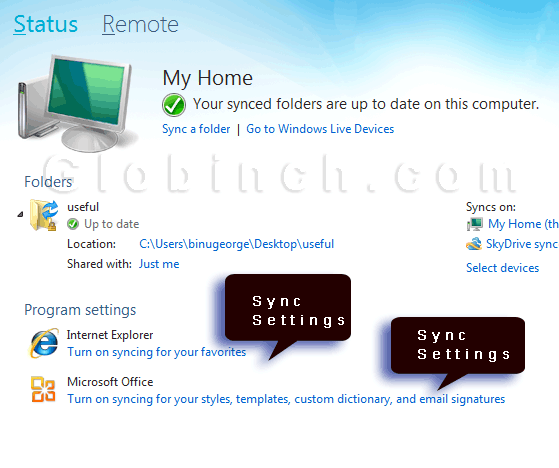 Windows-Live-Mesh-Sync-Program-settings