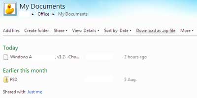 windows live SkyDrive