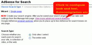 Google Custom search advanced options