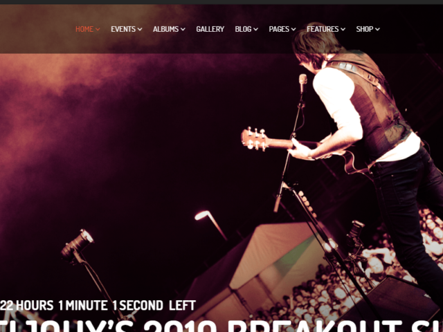 Top WordPress Music Themes For Professional Music Websites Vocal